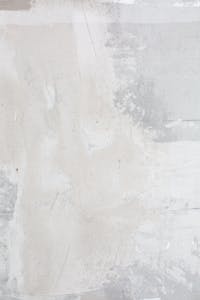 Bed Bugs - Green Bones Pest Control