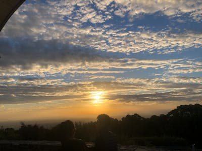 Mosquitoes - Green Bones Pest Control