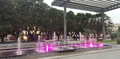 Termites - Green Bones Pest Control